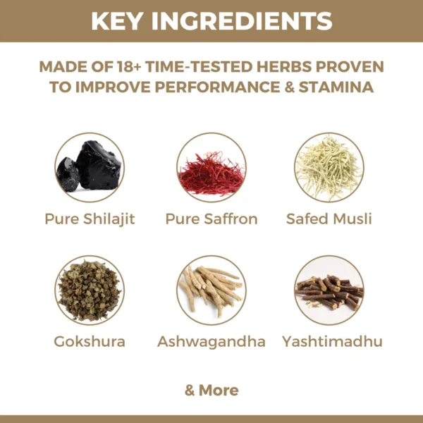 Kama Gold Advance: Ayurvedic Medicine to Boost Strength, Stamina, Timing & Performance in Men - Image 4