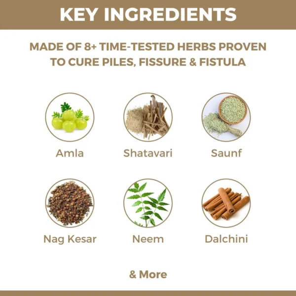 Piles Mukti: Ayurvedic Medicine For Piles, Fissure & Fistula - Image 2
